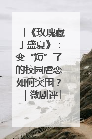 《玫瑰藏于盛夏》：变“短”了的校园虐恋如何突围？｜微剧评