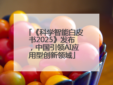 《科学智能白皮书2025》发布，中国引领AI应用型创新领域