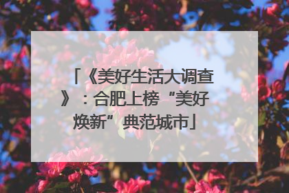 《美好生活大调查》：合肥上榜“美好焕新”典范城市