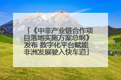 《中非产业链合作项目落地实施方案总纲》发布 数字化平台赋能非洲发展驶入快车道
