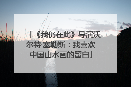 《我仍在此》导演沃尔特·塞勒斯：我喜欢中国山水画的留白