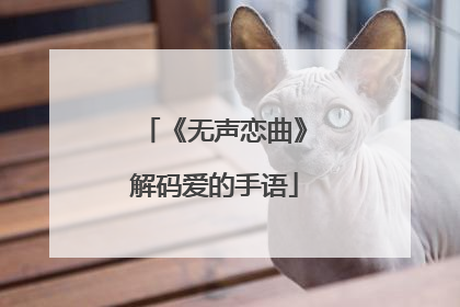 《无声恋曲》解码爱的手语