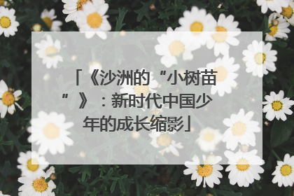 《沙洲的“小树苗”》：新时代中国少年的成长缩影