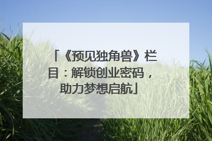 《预见独角兽》栏目：解锁创业密码，助力梦想启航