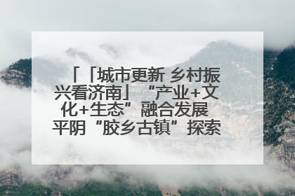 「城市更新 乡村振兴看济南」“产业+文化+生态”融合发展 平阴“胶乡古镇”探索振兴路径成效显著