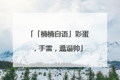 「楠楠自语」彩蛋，手雷，邋遢帅