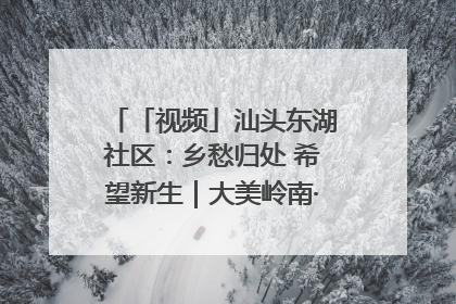 「视频」汕头东湖社区：乡愁归处 希望新生｜大美岭南·百村焕新记