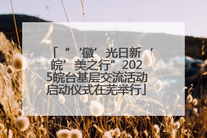 “‘徽’光日新‘皖’美之行”2025皖台基层交流活动启动仪式在芜举行