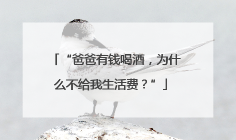 “爸爸有钱喝酒，为什么不给我生活费？”