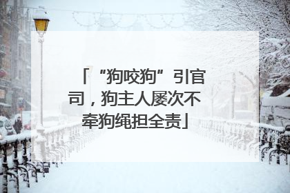 “狗咬狗”引官司，狗主人屡次不牵狗绳担全责
