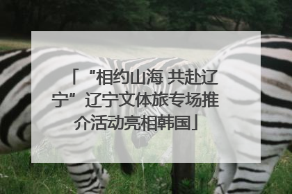 “相约山海 共赴辽宁”辽宁文体旅专场推介活动亮相韩国