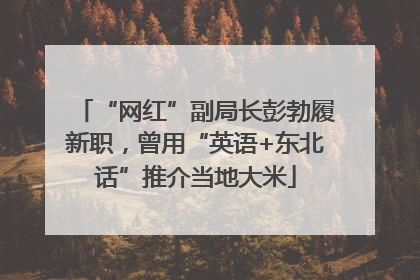 “网红”副局长彭勃履新职，曾用“英语+东北话”推介当地大米
