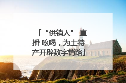 “供销人” 直播 吆喝，为土特产开辟数字销路