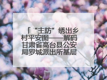 “主防”绣出乡村平安图——解码甘肃省高台县公安局罗城派出所基层治理新实践