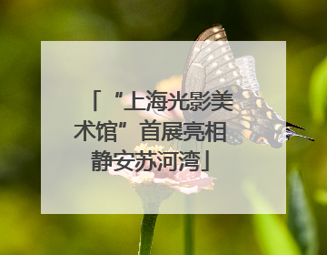 “上海光影美术馆”首展亮相静安苏河湾