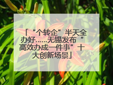 “个转企”半天全办好……无锡发布“高效办成一件事”十大创新场景