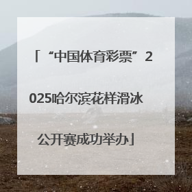 “中国体育彩票”2025哈尔滨花样滑冰公开赛成功举办