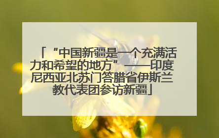 “中国新疆是一个充满活力和希望的地方”——印度尼西亚北苏门答腊省伊斯兰教代表团参访新疆