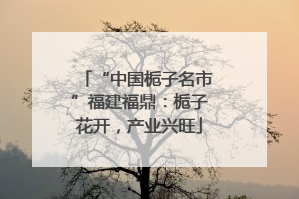 “中国栀子名市”福建福鼎：栀子花开，产业兴旺