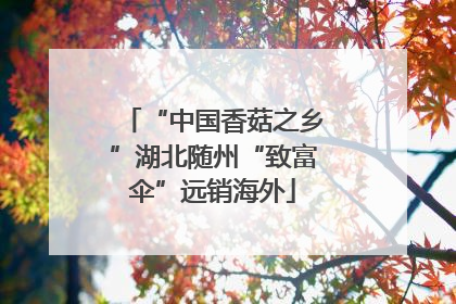“中国香菇之乡”湖北随州“致富伞”远销海外