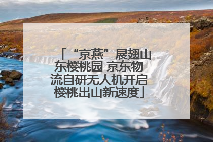“京燕”展翅山东樱桃园 京东物流自研无人机开启樱桃出山新速度