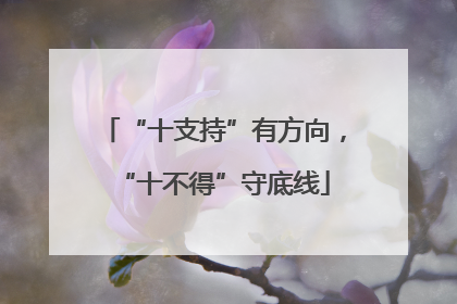 “十支持”有方向，“十不得”守底线