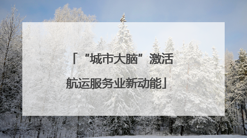 “城市大脑”激活航运服务业新动能