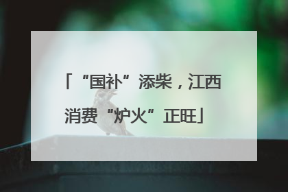 “国补”添柴，江西消费“炉火”正旺