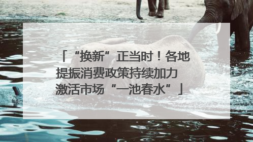 “换新”正当时！各地提振消费政策持续加力 激活市场“一池春水”