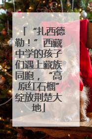 “扎西德勒！”西藏中学的孩子们遇上藏族同胞，“高原红石榴”绽放荆楚大地