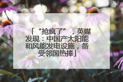 “抢疯了”，英媒发现：中国产太阳能和风能发电设施，备受邻国热捧