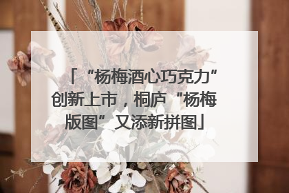 “杨梅酒心巧克力”创新上市，桐庐“杨梅版图”又添新拼图