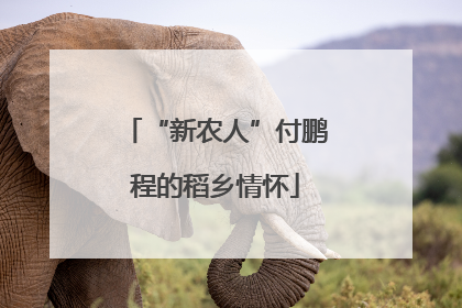 “新农人”付鹏程的稻乡情怀
