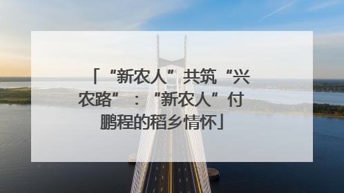 “新农人”共筑“兴农路”：“新农人”付鹏程的稻乡情怀