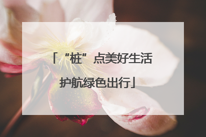 “桩”点美好生活 护航绿色出行
