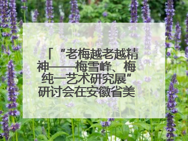 “老梅越老越精神——梅雪峰、梅纯一艺术研究展”研讨会在安徽省美术馆召开