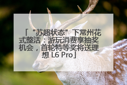 “苏超状态”下常州花式整活：游玩消费享抽奖机会，首轮特等奖将送理想 L6 Pro