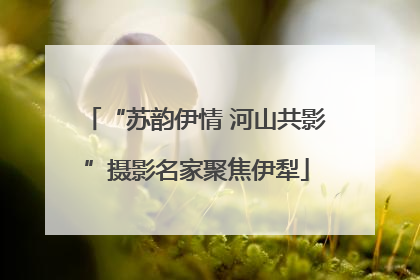 “苏韵伊情 河山共影”摄影名家聚焦伊犁