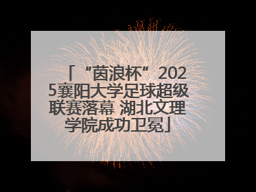 “茵浪杯”2025襄阳大学足球超级联赛落幕 湖北文理学院成功卫冕