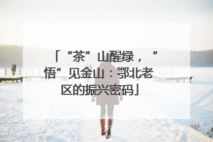 “茶”山醒绿，“悟”见金山：鄂北老区的振兴密码