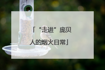 “走进”庞贝人的烟火日常