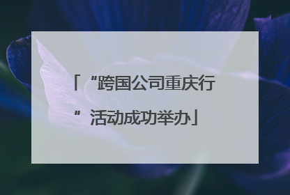 “跨国公司重庆行”活动成功举办
