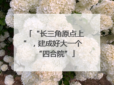 “长三角原点上”，建成好大一个“四合院”