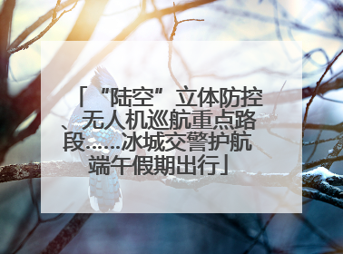 “陆空”立体防控、无人机巡航重点路段……冰城交警护航端午假期出行