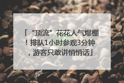 “顶流”花花人气爆棚！排队1小时参观3分钟，游客只敢讲悄悄话