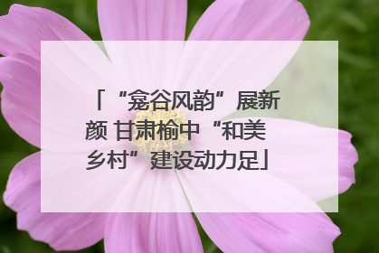 “龛谷风韵”展新颜 甘肃榆中“和美乡村”建设动力足