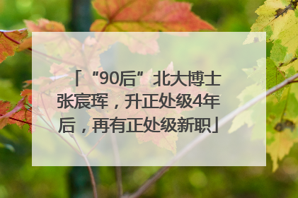 “90后”北大博士张宸珲，升正处级4年后，再有正处级新职