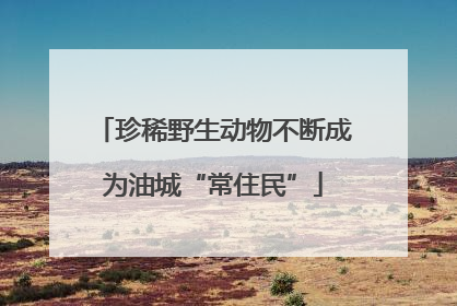珍稀野生动物不断成为油城“常住民”