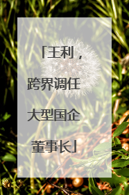 王利，跨界调任大型国企董事长