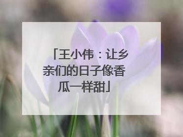 王小伟：让乡亲们的日子像香瓜一样甜